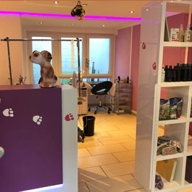 Bilder vom Salon